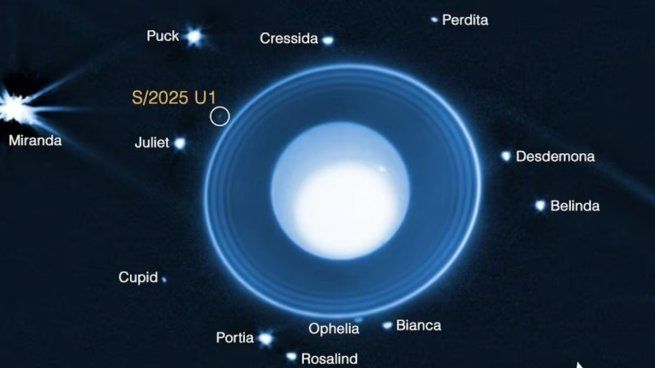 La luna recién descubierta está a 56.000 kilómetros del centro de Urano y su órbita casi circular “sugiere que pudo haberse formado cerca de su ubicación actual”.