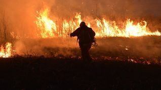 ambiente destina mas de $400 millones para combatir los incendios forestales