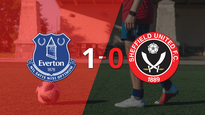 a everton le alcanzo con un gol para derrotar a sheffield united en el estadio goodison park
