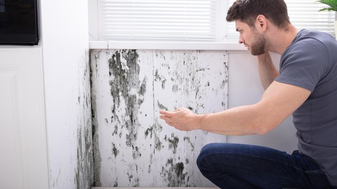 Este truco nos permite identificar la humedad, sin romper la pared.