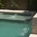 La cascada fue una de las tantas refacciones que realizó Adorni en Indio Cúa. La cascada fue una de las tantas refacciones que realizó Adorni en Indio Cúa.