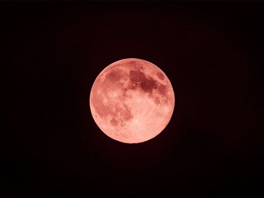 El eclipse de Luna de Fresa.