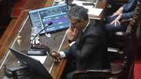Menem evitó nuevas derrotas del oficialismo en Diputados.