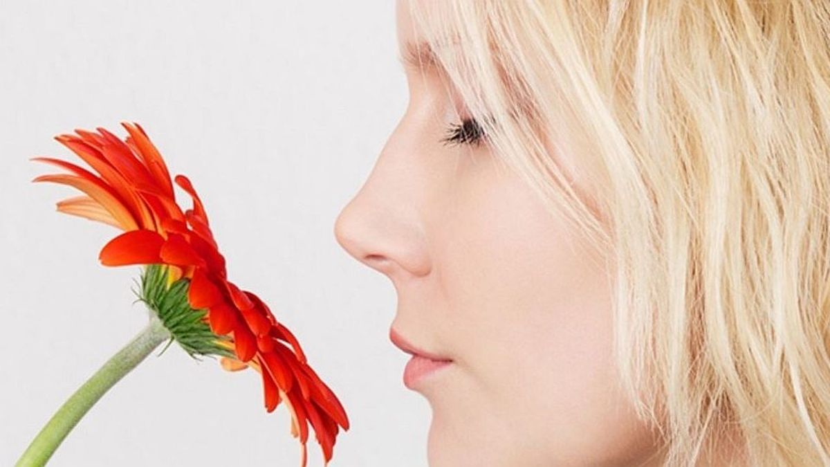 Turn on the TV to smell: the unusual million-dollar invention that digitalizes aromas
