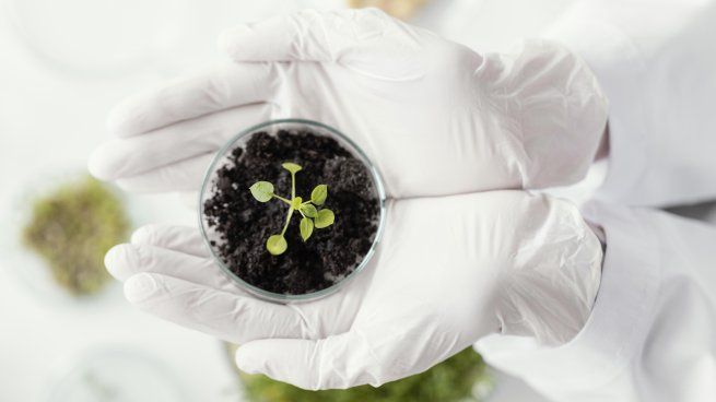 El rol de la biología en el cuidado del ambiente tiene que ver con el estudio de la conservación y la restauración de ambientes. 
