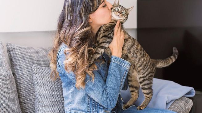 Los expertos destaca la importancia del mix feeding en la dieta de los gatos, combinando alimentos secos y húmedos para mejorar la hidratación y la palatabilidad de las comidas.