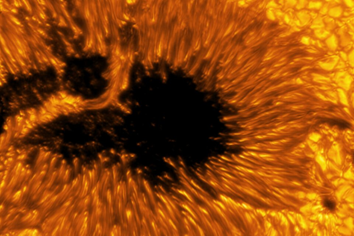 Un telescopio gigante capturó imágenes inéditas del sol imagen-3