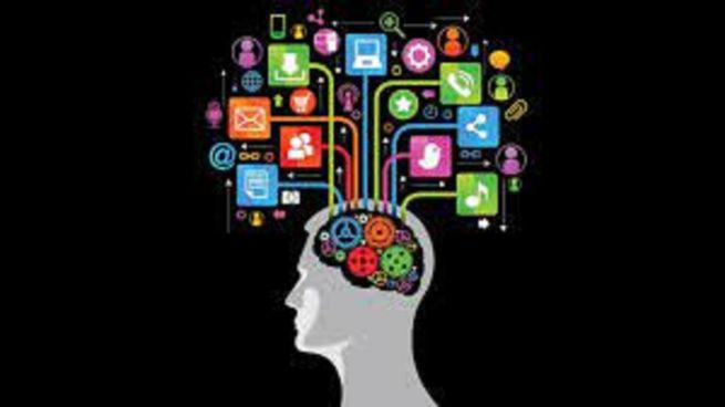 Cerebro y redes. 