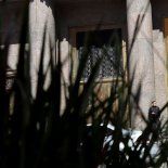 El gobiero avanza en lograr el objetivo fiscal del 2025 El gobiero avanza en lograr el objetivo fiscal del 2025