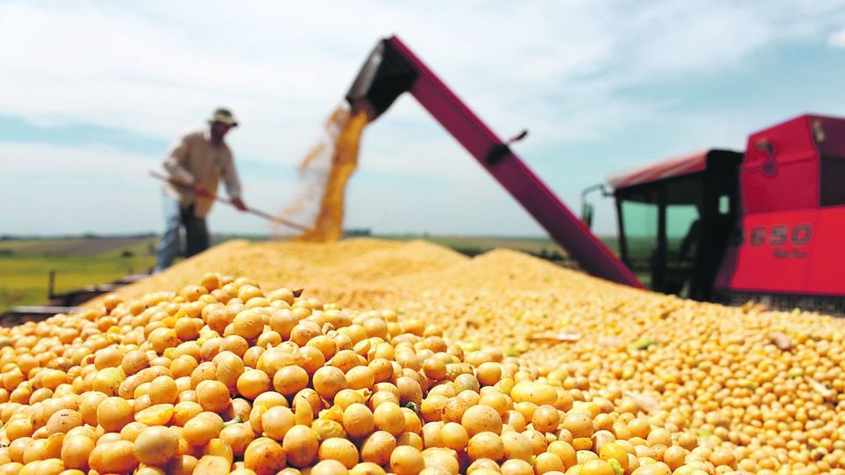 Surveillance plan launched to control exported volumes