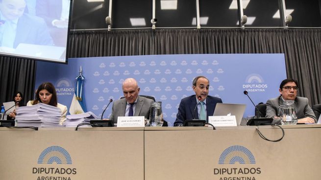 María Inés Brogin, José Luis Espert, Carlos Torrendell y Alejandro Álvarez en la Comisión de Presupesto y Hacienda.&nbsp;