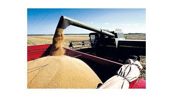 El volumen de comercio de la soja aumentó un 50% en la última década, impulsado por el incremento de la demanda doméstica de China, y se espera un crecimiento mayor para los próximos 10 años.