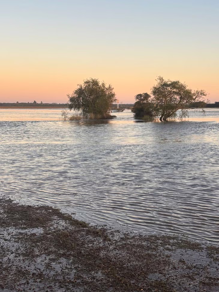 El agua alcanzo los 12,50 metros. El agua alcanzo los 12,50 metros.