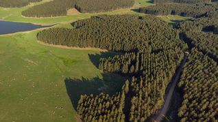 El CAF destacó a Uruguay como un ejemplo exitoso de diversificación e inversión en el agro. El CAF destacó a Uruguay como un ejemplo exitoso de diversificación e inversión en el agro.