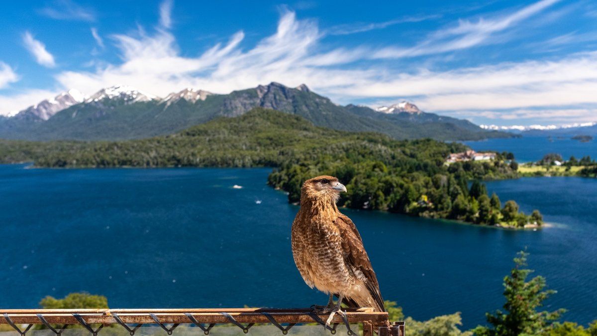 Summer in Bariloche: 3 activities to enjoy on a getaway to San Martín de los Andes