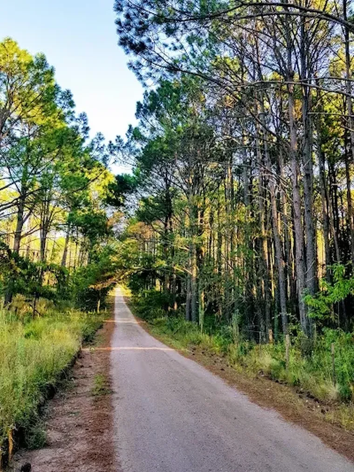 Alpa Corral, in the South Cordoba, offers rest tourism between mountains, natural spas and an environment that invites you to disconnect.