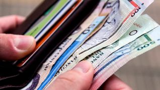 Con la mejora en los índices de salario y de empleo, la economía uruguaya demuestra su capacidad de recuperación y avance. Con la mejora en los índices de salario y de empleo, la economía uruguaya demuestra su capacidad de recuperación y avance.