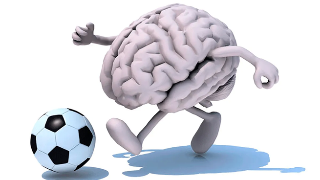 ¿Qué le pasa al cerebro al ver un partido de fútbol?