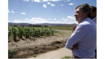 La cosecha alcanzaría este año las 102,6 millones de toneladas.