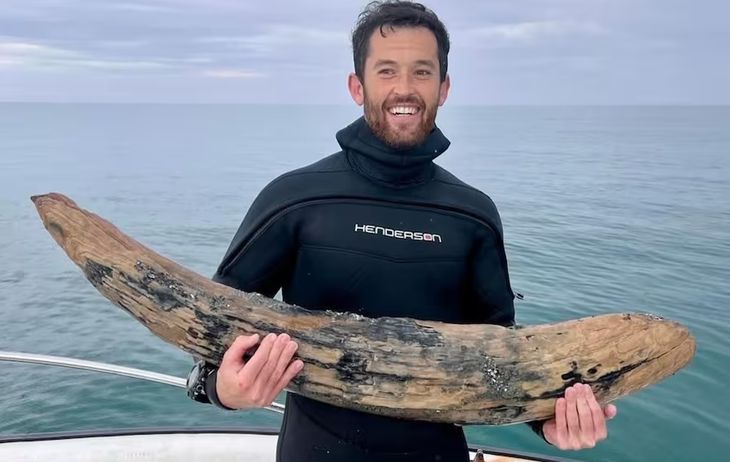 Alex Lundberg encontró una pieza histórica en las costas de Estados Unidos Alex Lundberg encontró una pieza histórica en las costas de Estados Unidos