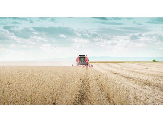 Tiempo de cosecha: ¿y ahora qué conviene vender?