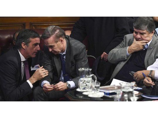 Senado: trifulca por objeción de conciencia en debate sobre aborto