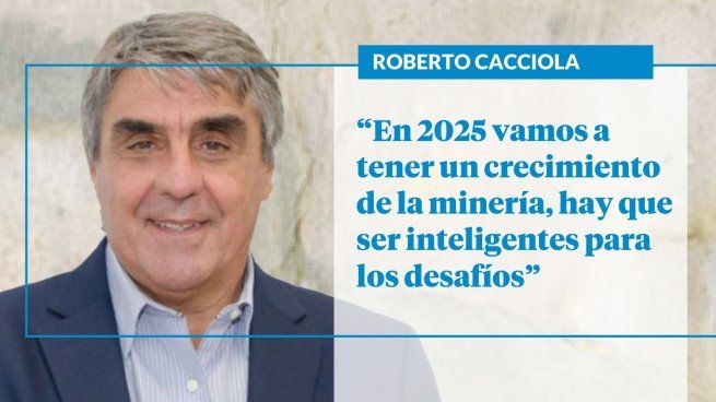 Presidente de la Cámara Argentina de Empresas Mineras (CAEM).