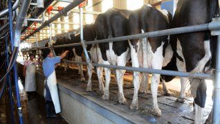 impulso tambero: el programa destina $8.104 millones para asistir a productores