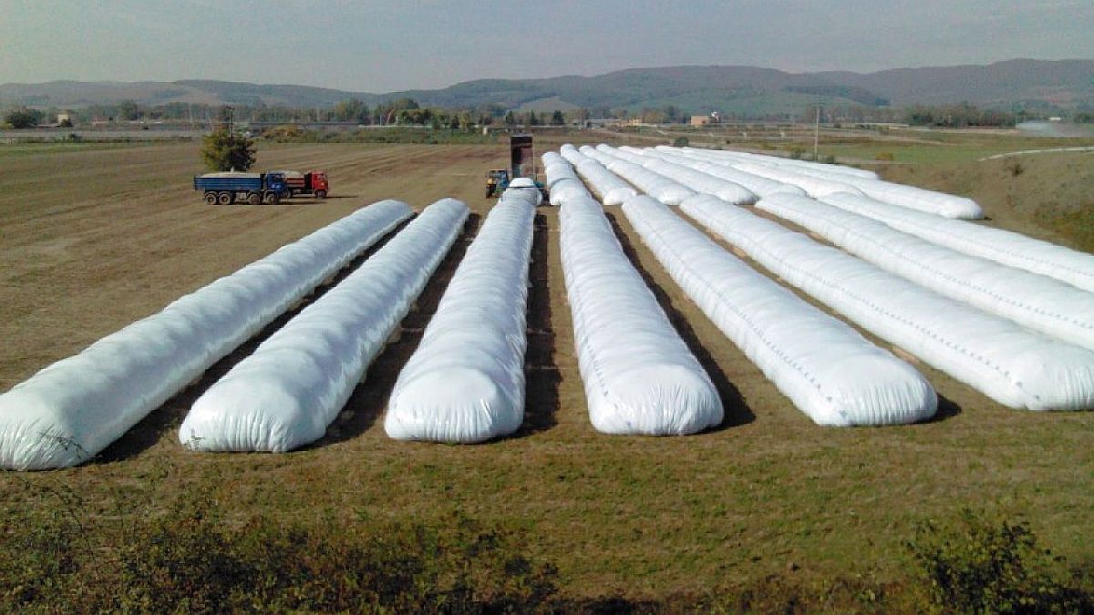  billion left in silo bags
