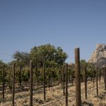 los mejores pueblitos cercanos a cdmx para hacer una escapada y salir del estres en el fin de semana puente de mayo 2026 los mejores pueblitos cercanos a cdmx para hacer una escapada y salir del estres en el fin de semana puente de mayo 2026