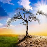 LA NASA adivierte sobre el cambio climático y como podría haber zonas peligrosas para la vida humana en 50 años. LA NASA adivierte sobre el cambio climático y como podría haber zonas peligrosas para la vida humana en 50 años.