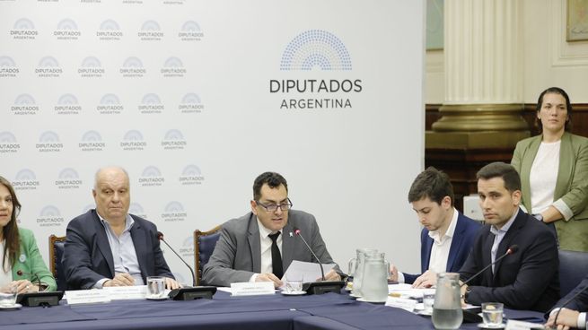 Leonardo Cifelli, secretario de Cultura, en la comisión de Diputados.