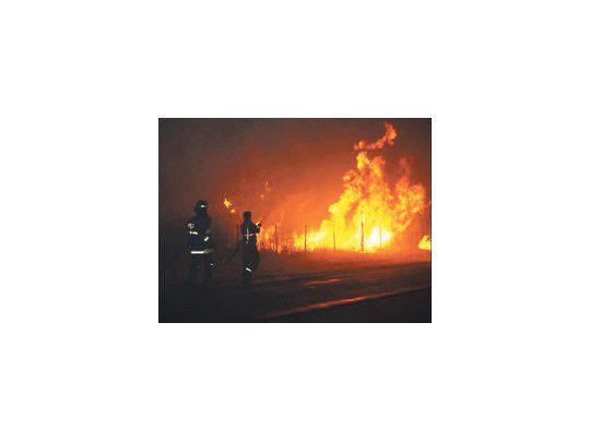 En Jujuy, enormes fracciones de tierras forestadas fueron arrasadas por el fuego, en un escenario signado por pastizales y arboledas resecos por la falta de lluvias.