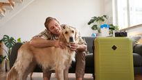 Viajar a Brasil con una mascota requiere organizar con tiempo la documentación y el traslado.
