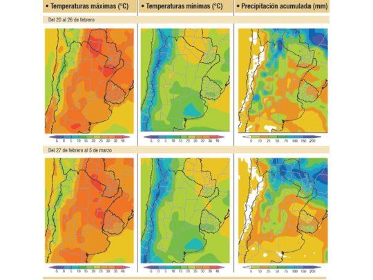 Lluvias y calor en zona agrícola favorecerán enfermedades y plagas