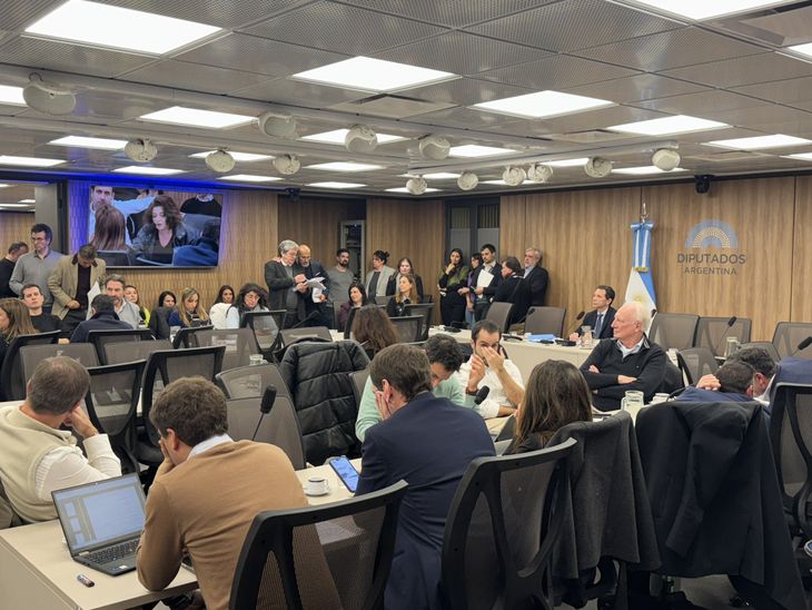 La última reunión de la Comisión Investigadora de $LIBRA en Diputados fue el 25 de junio.