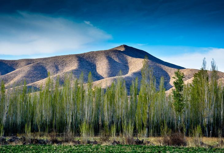 The valley located in the province of Mendoza is usually a little known destination for tourism. The valley located in the province of Mendoza is usually a little known destination for tourism.
