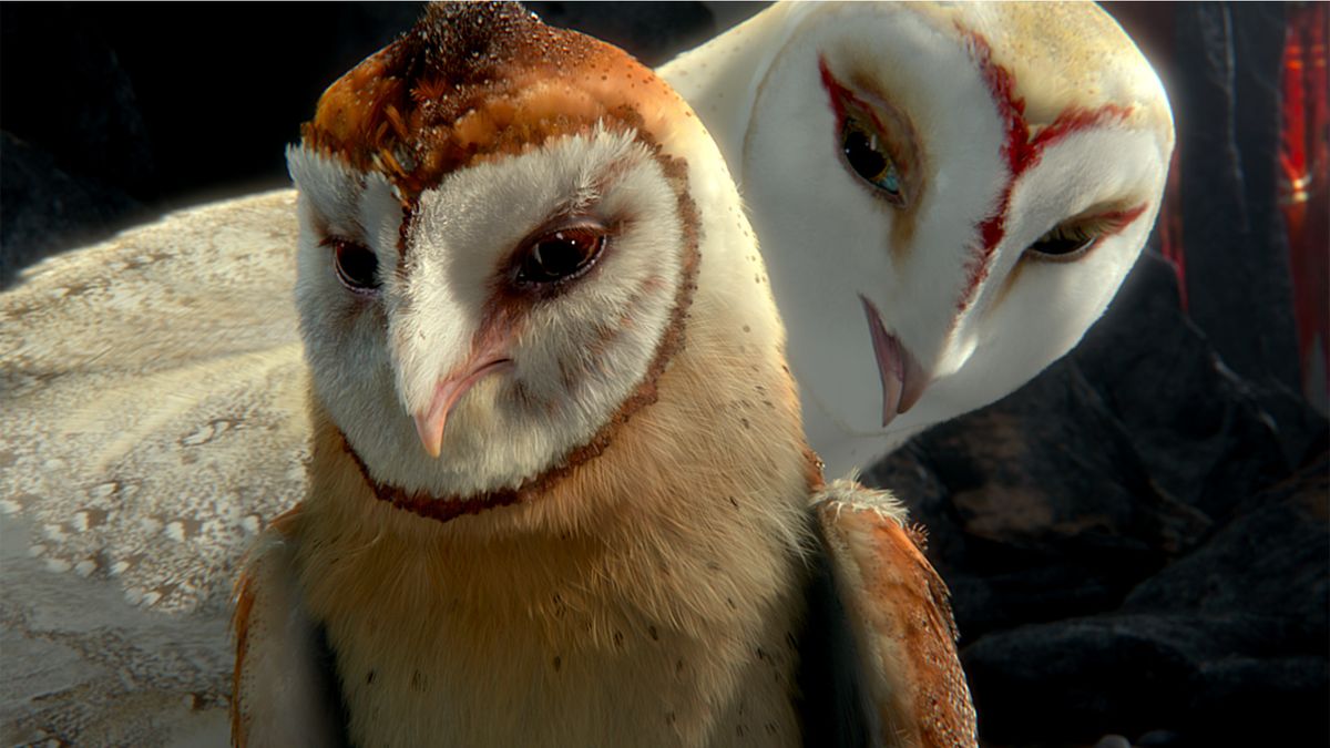 Max: the animated film about an owl who leaves everything to embark on an incredible adventure