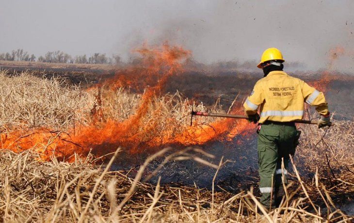 Incendios en las islas entrerrianas.