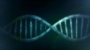 Potencialmente capaz de&nbsp;corregir el 89% de las variaciones genéticas vinculadas a enfermedades humanas, también es la primera en poder intervenir eficazmente sobre las neuronas, como demostró un estudio publicado en Nature por el Broad Institute de Harvard y el MIT en Estados Unidos.