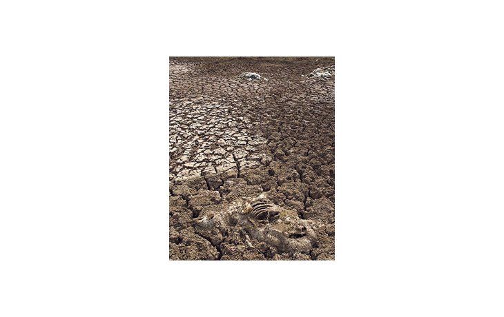 En el sudeste bonaerense piden al menos 80 milímetros de lluvias para iniciar el implante. Pero no habría precipitaciones hasta fines de este mes.