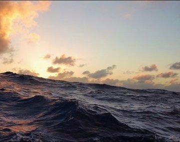 La temperatura de los océanos llegó a niveles récord. La temperatura de los océanos llegó a niveles récord.