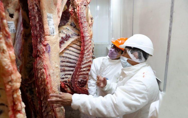 ámbito.com | carne.jpeg