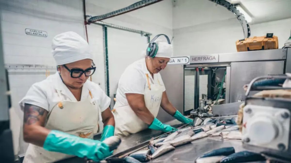 In the midst of a deep crisis, fishing sank 82.8% in July and touched its worst level from the pandemic