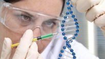 La neurociencia tuvo un descubrimiento vital hace poco.