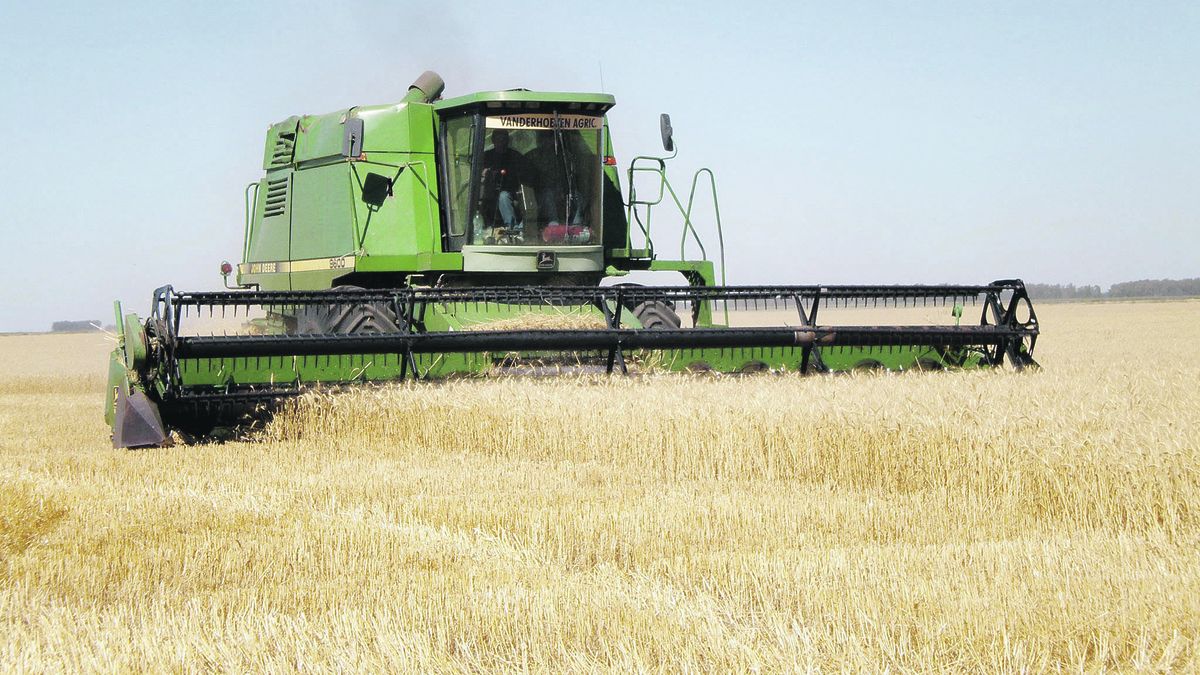 The Rosario Stock Exchange raised its wheat harvest estimate to 22 million tons