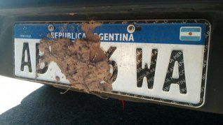 Tapar la patente es una infracción severa en el país Tapar la patente es una infracción severa en el país