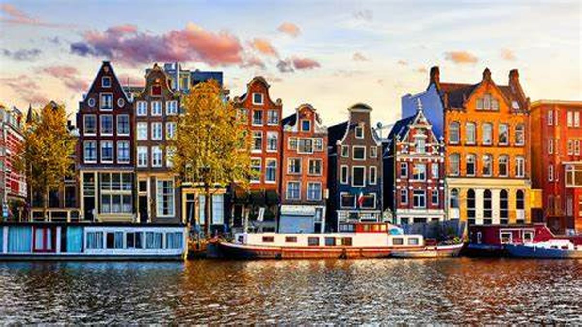What are the most in-demand jobs in the Netherlands and how much is the basic salary?