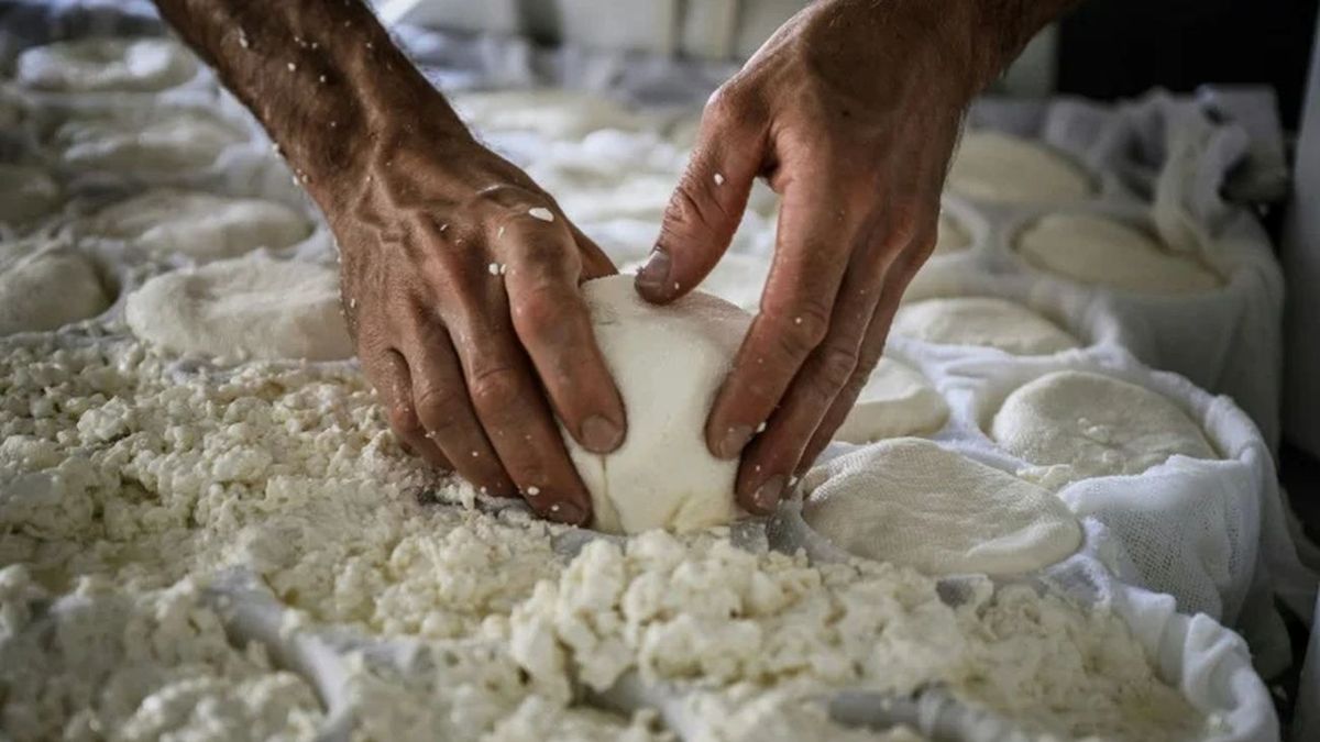 Record heat and drought hit Alpine pastures