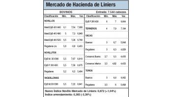 Liniers registró un nuevo máximo histórico